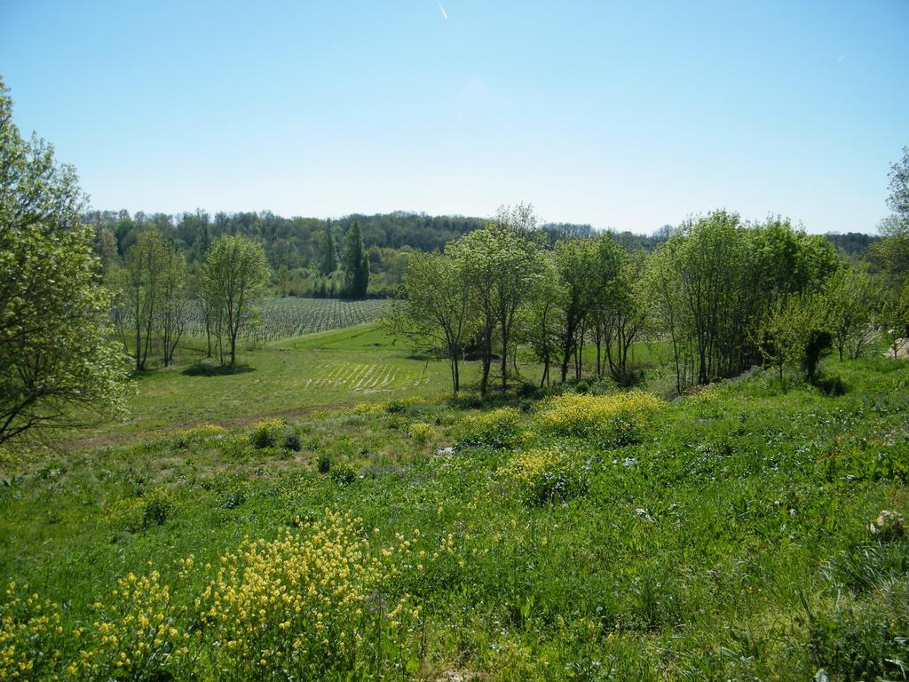 Clos Vieux Rochers Vineyard Puisseguin Eksteriør billede
